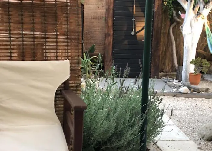 Napoleon's Family Valanio